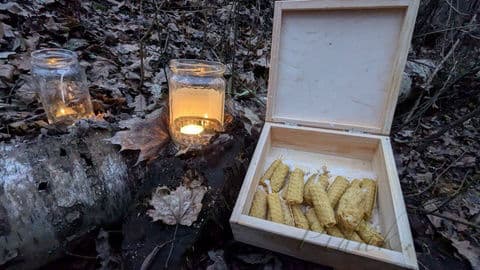 3. obrázek Lesní mateřská škola Sofisa 3. obrázek Lesní mateřská škola Sofisa