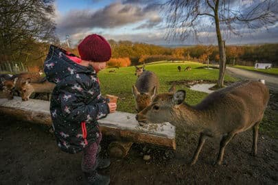 3. obrázek Sonnenlandpark Lichtenau – zábavní park a divoký park, Německo 3. obrázek Sonnenlandpark Lichtenau – zábavní park a divoký park, Německo