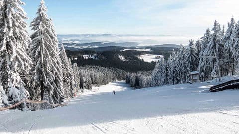 5. obrázek Sternstein u Bad Leonfelden – rodinný areál a rozhledna Sternsteinwarte, Rakousko 5. obrázek Sternstein u Bad Leonfelden – rodinný areál a rozhledna Sternsteinwarte, Rakousko