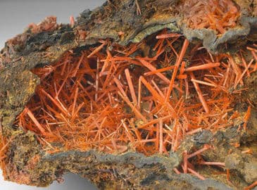 4. obrázek Terra Mineralia – mineralogická výstava na zámku Freudenstein, Freiberg, Německo 4. obrázek Terra Mineralia – mineralogická výstava na zámku Freudenstein, Freiberg, Německo