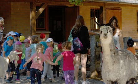 4. obrázek Zoo Görlitz – Naturschutz-Tierpark Görlitz-Zgorzelec s tibetskou vesnicí, Německo 4. obrázek Zoo Görlitz – Naturschutz-Tierpark Görlitz-Zgorzelec s tibetskou vesnicí, Německo