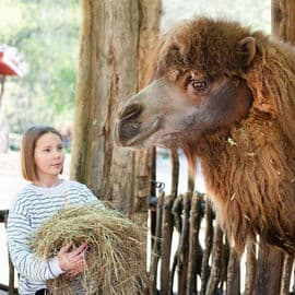 3. obrázek Zoo Görlitz – Naturschutz-Tierpark Görlitz-Zgorzelec s tibetskou vesnicí, Německo 3. obrázek Zoo Görlitz – Naturschutz-Tierpark Görlitz-Zgorzelec s tibetskou vesnicí, Německo