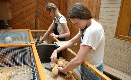 5. obrázek Zoo Görlitz – Naturschutz-Tierpark Görlitz-Zgorzelec s tibetskou vesnicí, Německo 5. obrázek Zoo Görlitz – Naturschutz-Tierpark Görlitz-Zgorzelec s tibetskou vesnicí, Německo