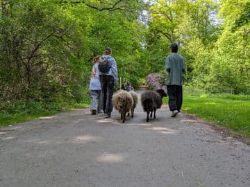 3. obrázek Zvířecí park Žitava – Tierpark Zittau, Německo 3. obrázek Zvířecí park Žitava – Tierpark Zittau, Německo