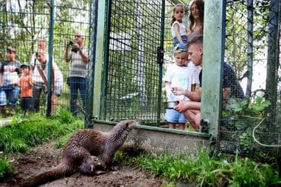 2. obrázek Podvodní říše Schrems – Naturpark Hochmoor UnterWasserReich, Rakousko 2. obrázek Podvodní říše Schrems – Naturpark Hochmoor UnterWasserReich, Rakousko