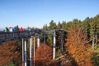 4. obrázek Stezka korunami stromů Sankt Englmar – Waldwipfelweg s Domem na hlavě, Německo 4. obrázek Stezka korunami stromů Sankt Englmar – Waldwipfelweg s Domem na hlavě, Německo