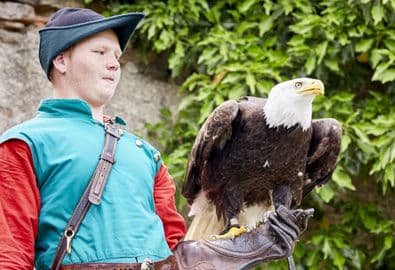 3. obrázek Zámek Rosenburg – renesanční zámek se sokolnickými ukázkami, Rakousko 3. obrázek Zámek Rosenburg – renesanční zámek se sokolnickými ukázkami, Rakousko
